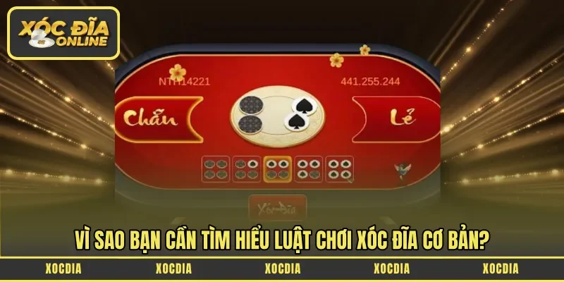 Vì sao bạn cần tìm hiểu luật chơi xóc đĩa cơ bản?